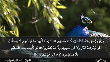 الصفحة 325 سورة الأنبياء بصوت القارئ المهندس أحمد فايز الحراسيس