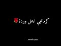 أغاني كرمانجي اجمل وردةحالات واتس اب تصميم شاشه سوداء كرومات سوداء انا ودي اشوفك كل يوم كل ساعة 2026