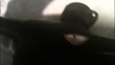 Proto slg basic 2009 disassembly