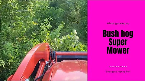 Bush Hog - 35hp Kioti clearing land