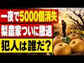 【梨5000個が一夜で消失】福岡の農園が2年連続盗難で廃業決断…メルカリ大量出品に疑惑殺到、ネット騒然の異常事態!!