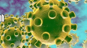 Cập nhật tình hình virus corona ngày 13/2:Vĩnh Phúc quyết định cách ly xã Lôi Sơn, 1.957 người ở...