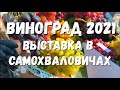 Виноград 2021. Выставка в агрогородке Самохваловичи.