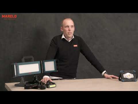 Mareld Pro Lighting | Light Guide