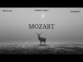 Classical Piano Music ~ Music for the Soul - Beethoven Mozart Chopin Schubert