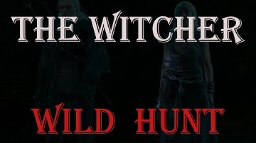 The Witcher 3- Wild Hunt- Let