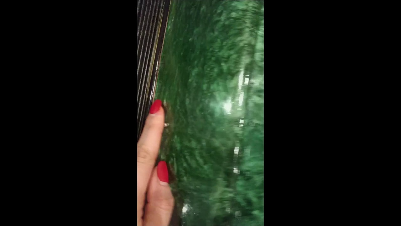 ремонт гармошки Чайка - YouTube