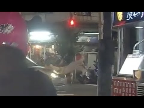 【車禍影片】遇到這種一率建議報警（2022.10.11 新北市泰山區美寧街