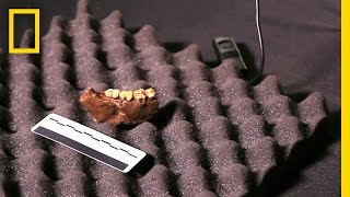 See First Fossil Recovered from Cave (Expedition Update) | National Geographic