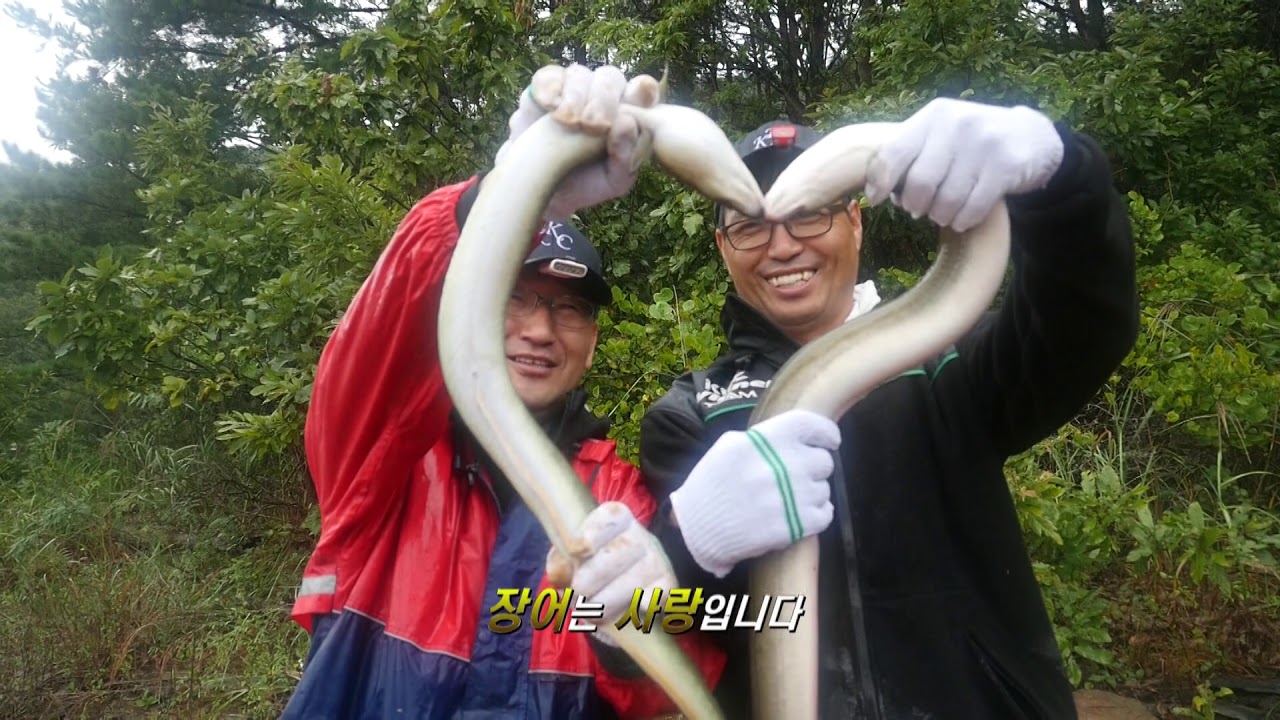대청호, 대물장어, 하트장어, 장어, 장어낚시, 대청댐, eel, eel fishing 