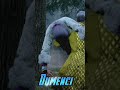 dead by daylight dumenci