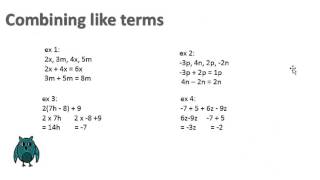 Combining like terms, distributive property Wk. 15, 7th grade Math
