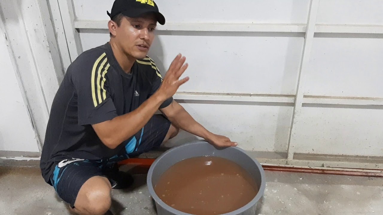 aquário plantado com húmus de minhoca