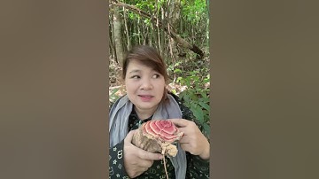 Cây khê huyết đằng và quả dứa rừng đều chữa bệnh gan !