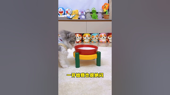 找到了小右右不愿意喝奶的原因 #猫咪的迷惑行为 #小奶猫的成长日记 #给你们bang出一只小猫
