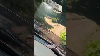 Jalan Tap,,Cimungkal,Cihike