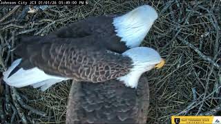 Johnson City, January 1st ETSU Eagle Cameras Johnson City Cam 1 / Cam 3: ETSU Eagle Camera