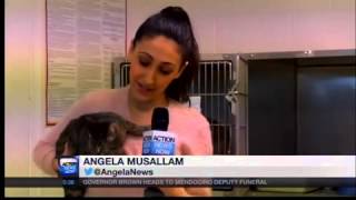 Shasta Lake Animal Control changes it's spay-neuter policy