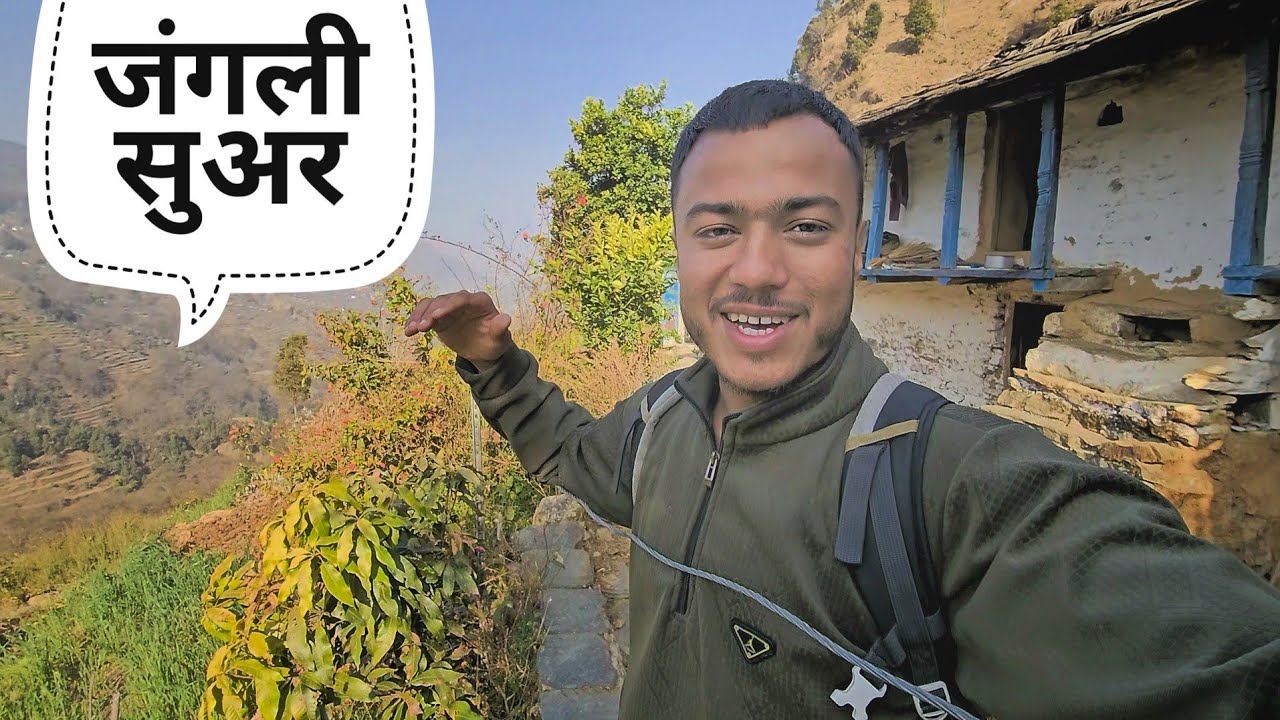अचानक रात को घर के पास आये इतने सारे जंगली जानवर || Pahadi Lifestyle Vlog || Namaste Pahad