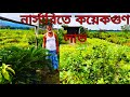 নার্সারি করে স্বাবলম্বী আকবর ভাই। এই ব্যবসায় কয়েক গুণ পর্যন্ত লাভ করা সম্ভব।