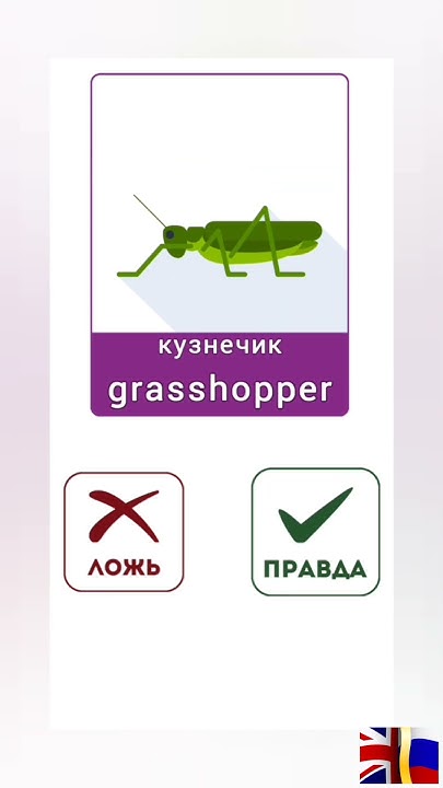 Проверь свой английский. Английский на английском 👩‍💻🧑‍💻👩‍ ️‍👨 - YouTube