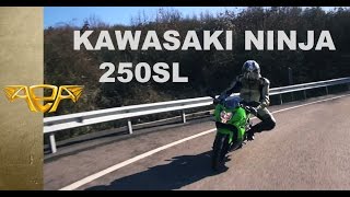 Kawasaki Ninja 250SL İncelemesi