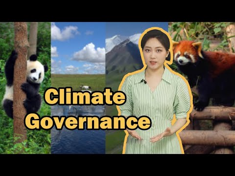 Climate Governance: Shared responsibility, cooperation required