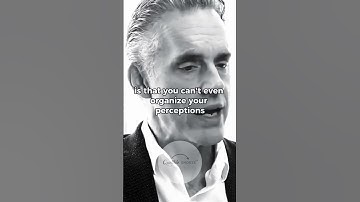 If There are No Hierarchies | Jordan Peterson #shorts