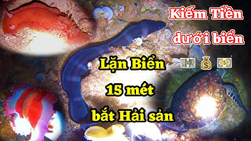Nghề Lặn Của Tiên - Lặn Biển Ở Độ Sâu 15 Mét | Để Săn Bắt Hàu Hương | scuba diving to catch seafood