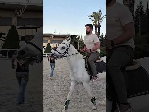 ماكتبنا التاريخ إلا كـالنسور قلبنا أنوي دمائه تثور