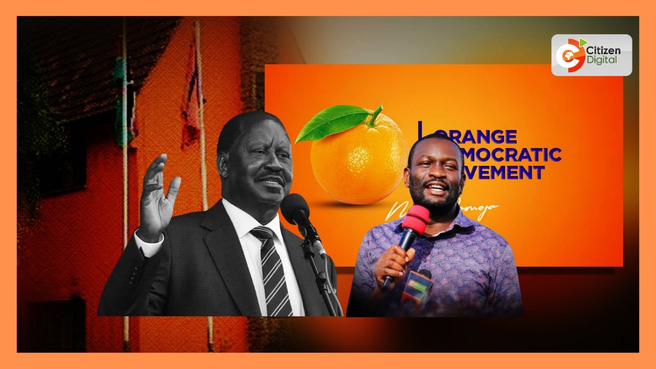 Mrengo wa linda mwananchi wapuuza ripoti ya ajenda 10