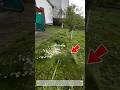 Insane Grass Trimmer Skills! Perfect Lawn Edge in Minutes