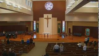 Holy Mass for the 7th Sunday in Ordinary Time: 23 February 2025, 8:00am