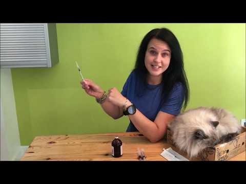 वीडियो: आपकी बिल्ली के लिए इंजेक्शन लगाने योग्य प्रशासन