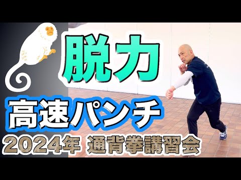 中国武術最高峰のパンチ】通背拳 2024岡山講習会一部公開 - YouTube