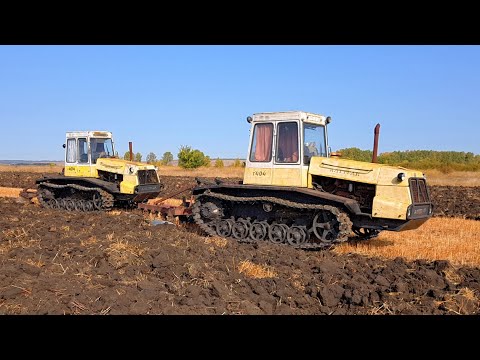 Видео: Вспашка зяби гусеничными тракторами Т-404