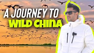 Even BIRDS want to come to see what is CHINA like!