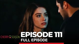 Cherry Season Episode 111