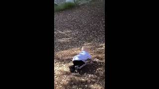 Twin boys walk down steps with Mother and they both faceplant into dirt
