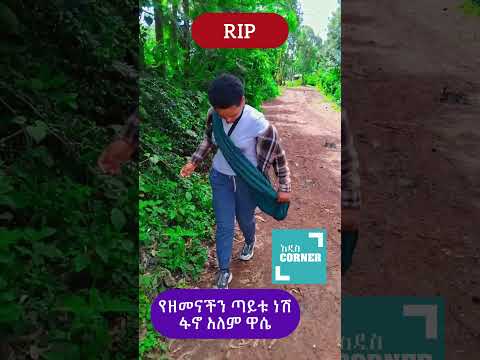 አነጋጋሪው የፋኖ አለም ዋሴ ህይወቷ ከማለፉ በፊት የለቀቀችው ቪዲዮ ዘመቻአለም ጎጃም Rip Shorts