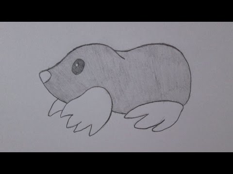 Vídeo: Como Desenhar Uma Toupeira