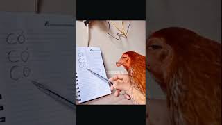 و ايه لازمتها اصلا     اكسبلور  صانع محتوى  شورتس  مقاطع مضحكة  اشترك  ضحك  انتشار  شورتس مضحك  ترند سمعها