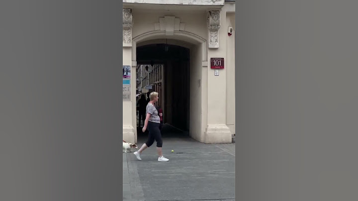 📹🐶 Dog Plays Catch with Strangers from His Balcony – Viral Video!