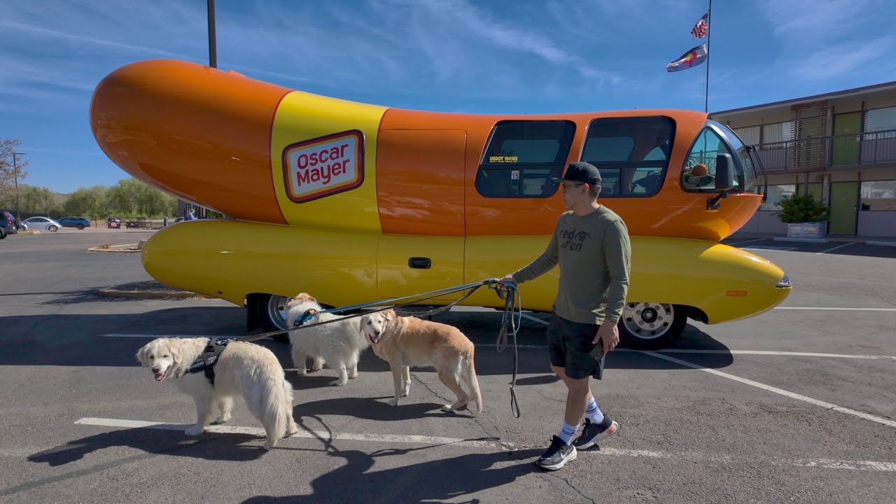 Colorado Springs with our 3 Big Dogs