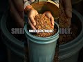 Balcony Compost and Everyday Eco Picks