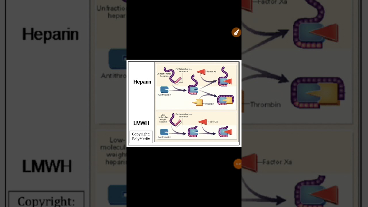 heparin mechanism of action