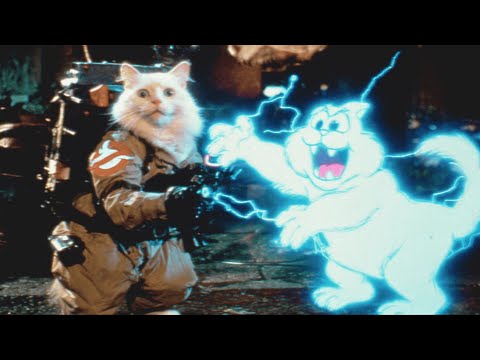 👻 Ghostbusters Inspired