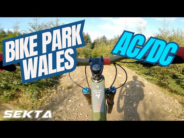 Bike Park Wales Red Tech Trails