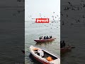 ईमानदारी #shorts #youtubeshorts
