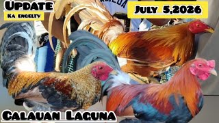 Bentahan ng manok sa Calauan ngayon araw July 5,2026 maraming qualiting manok ang dumating. Bentahan ng manok sa Calauan ngayon araw July 5,2026 maraming qualiting manok ang dumating.